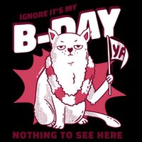 Ignore It's My Birthday Nothing To See Here Cat Crop Top