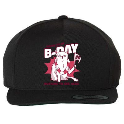 Ignore It's My Birthday Nothing To See Here Cat Wool Snapback Cap