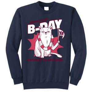 Ignore It's My Birthday Nothing To See Here Cat Sweatshirt