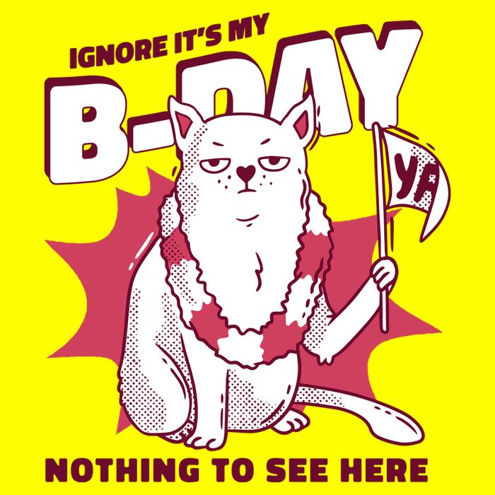 Ignore It's My Birthday Nothing To See Here Cat Long Sleeve Shirt