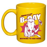 Ignore It's My Birthday Nothing To See Here Cat 11oz C Handle Ceramic Mug