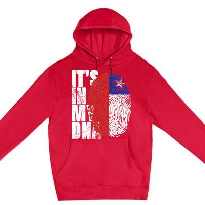 It's In My DNA Chilean Hispanic Gift Chileno Cool Chile Flag Premium Pullover Hoodie