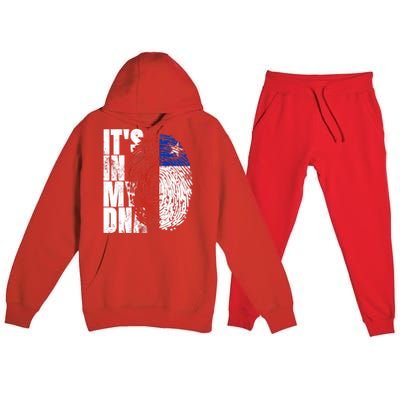 It's In My DNA Chilean Hispanic Gift Chileno Cool Chile Flag Premium Hooded Sweatsuit Set