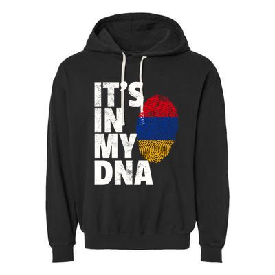 It's In My Dna Arian Aria Flag Pride National Country Gift Garment-Dyed Fleece Hoodie