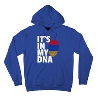 It's In My Dna Arian Aria Flag Pride National Country Gift Hoodie