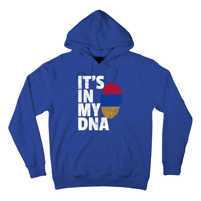 It's In My Dna Arian Aria Flag Pride National Country Gift Hoodie