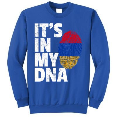 It's In My Dna Arian Aria Flag Pride National Country Gift Sweatshirt