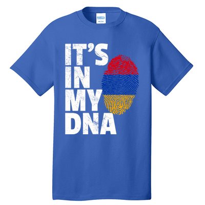 It's In My Dna Arian Aria Flag Pride National Country Gift Tall T-Shirt