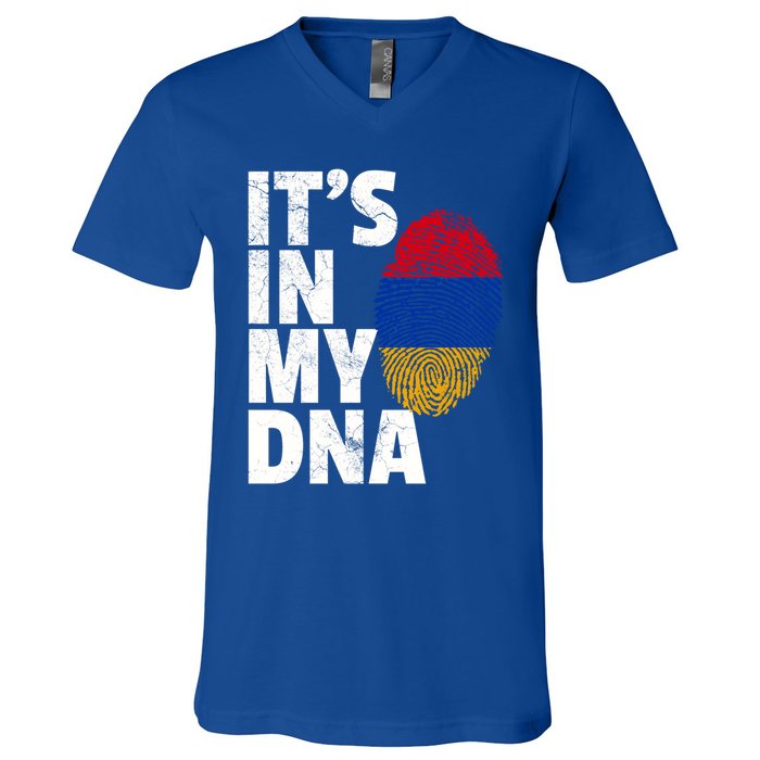 It's In My Dna Arian Aria Flag Pride National Country Gift V-Neck T-Shirt