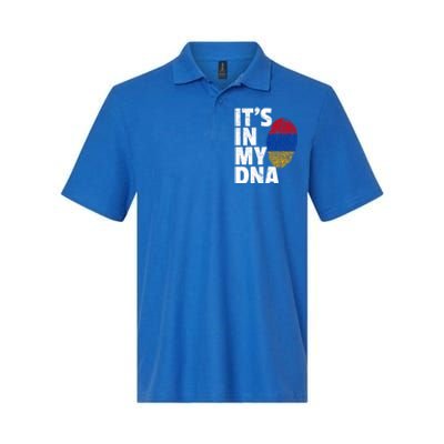 It's In My Dna Arian Aria Flag Pride National Country Gift Softstyle Adult Sport Polo