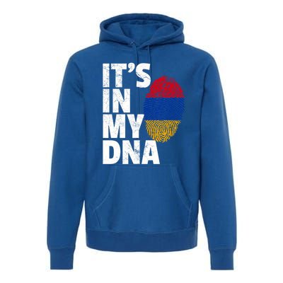 It's In My Dna Arian Aria Flag Pride National Country Gift Premium Hoodie