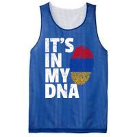 It's In My Dna Arian Aria Flag Pride National Country Gift Mesh Reversible Basketball Jersey Tank