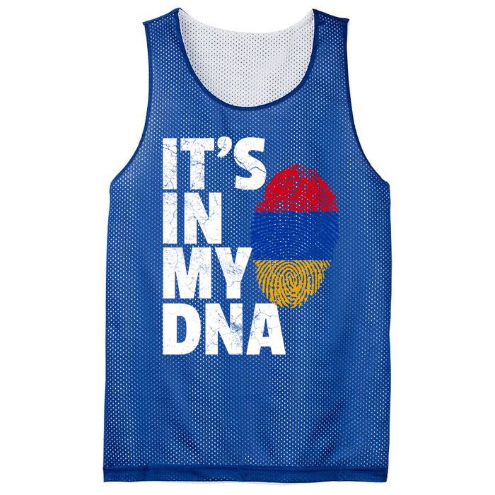 It's In My Dna Arian Aria Flag Pride National Country Gift Mesh Reversible Basketball Jersey Tank