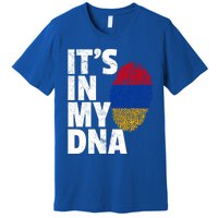 It's In My Dna Arian Aria Flag Pride National Country Gift Premium T-Shirt