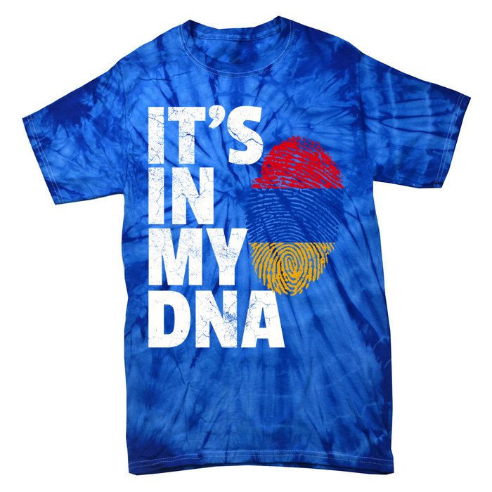 It's In My Dna Arian Aria Flag Pride National Country Gift Tie-Dye T-Shirt