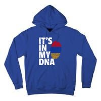 It's In My Dna Arian Aria Flag Pride National Country Gift Tall Hoodie