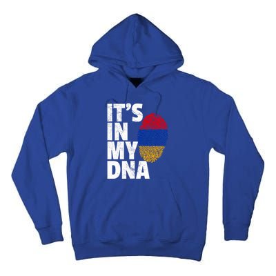 It's In My Dna Arian Aria Flag Pride National Country Gift Tall Hoodie