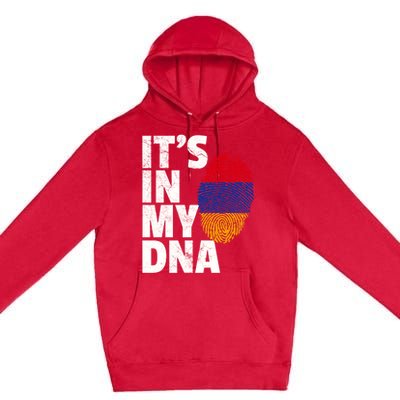 It's In My Dna Arian Aria Flag Pride National Country Gift Premium Pullover Hoodie