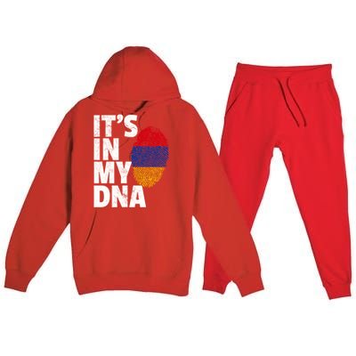 It's In My Dna Arian Aria Flag Pride National Country Gift Premium Hooded Sweatsuit Set