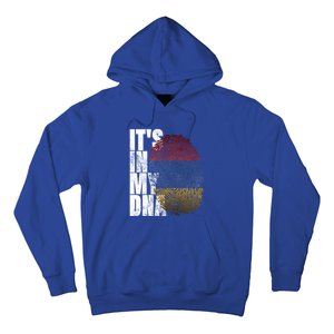 It's In My Dna Arian Sign Proud Funny Gift Pride Aria Flag Gift Hoodie