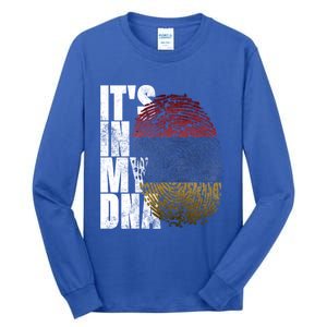 It's In My Dna Arian Sign Proud Funny Gift Pride Aria Flag Gift Tall Long Sleeve T-Shirt