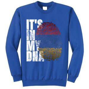 It's In My Dna Arian Sign Proud Funny Gift Pride Aria Flag Gift Tall Sweatshirt