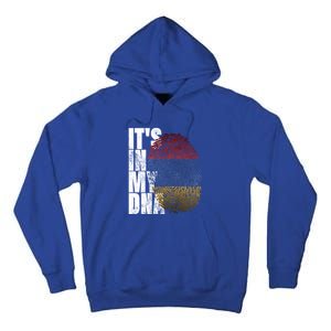 It's In My Dna Arian Sign Proud Funny Gift Pride Aria Flag Gift Tall Hoodie