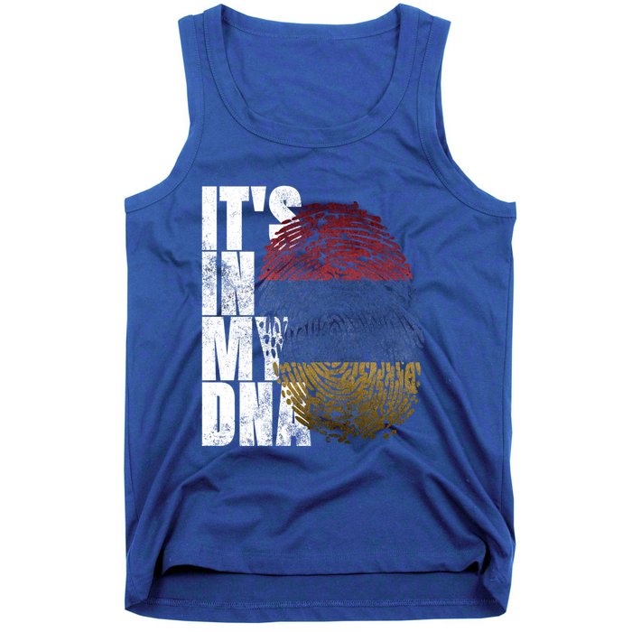 It's In My Dna Arian Sign Proud Funny Gift Pride Aria Flag Gift Tank Top