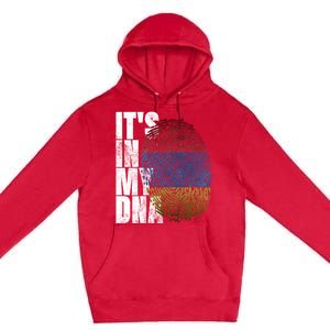 It's In My Dna Arian Sign Proud Funny Gift Pride Aria Flag Gift Premium Pullover Hoodie