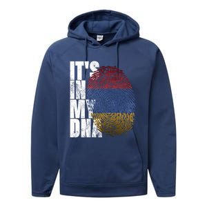 It's In My Dna Arian Sign Proud Funny Gift Pride Aria Flag Gift Performance Fleece Hoodie