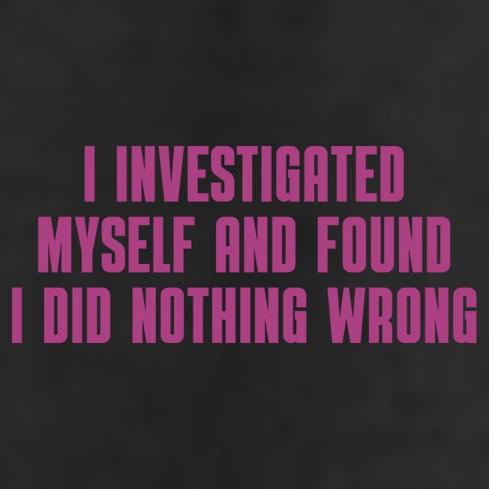 I Investigated Myself And Found I Did Nothing Wrong Garment-Dyed Fleece Hoodie
