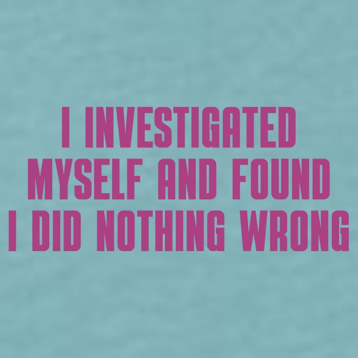 I Investigated Myself And Found I Did Nothing Wrong Sueded Cloud Jersey T-Shirt