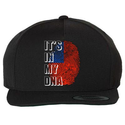 Its In My Dna Taiwan Flag Gift Wool Snapback Cap