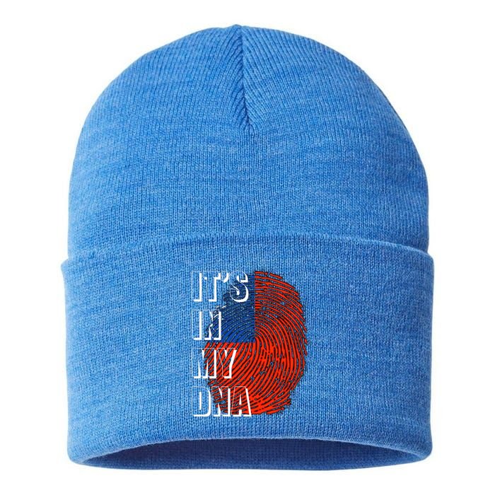 Its In My Dna Taiwan Flag Gift Sustainable Knit Beanie