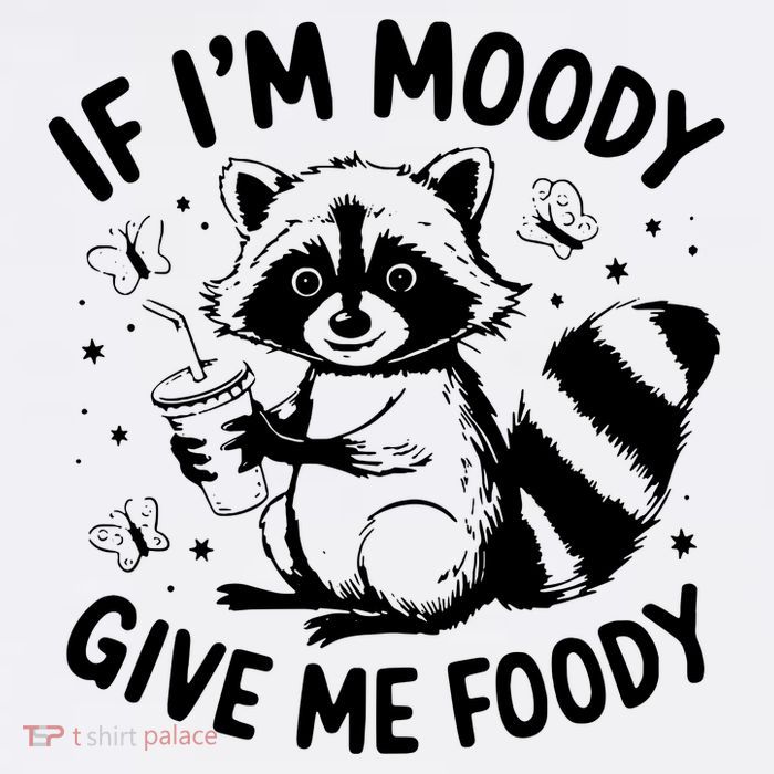 If IM Moody Give Me Foody Funny Raccoon T-Shirt