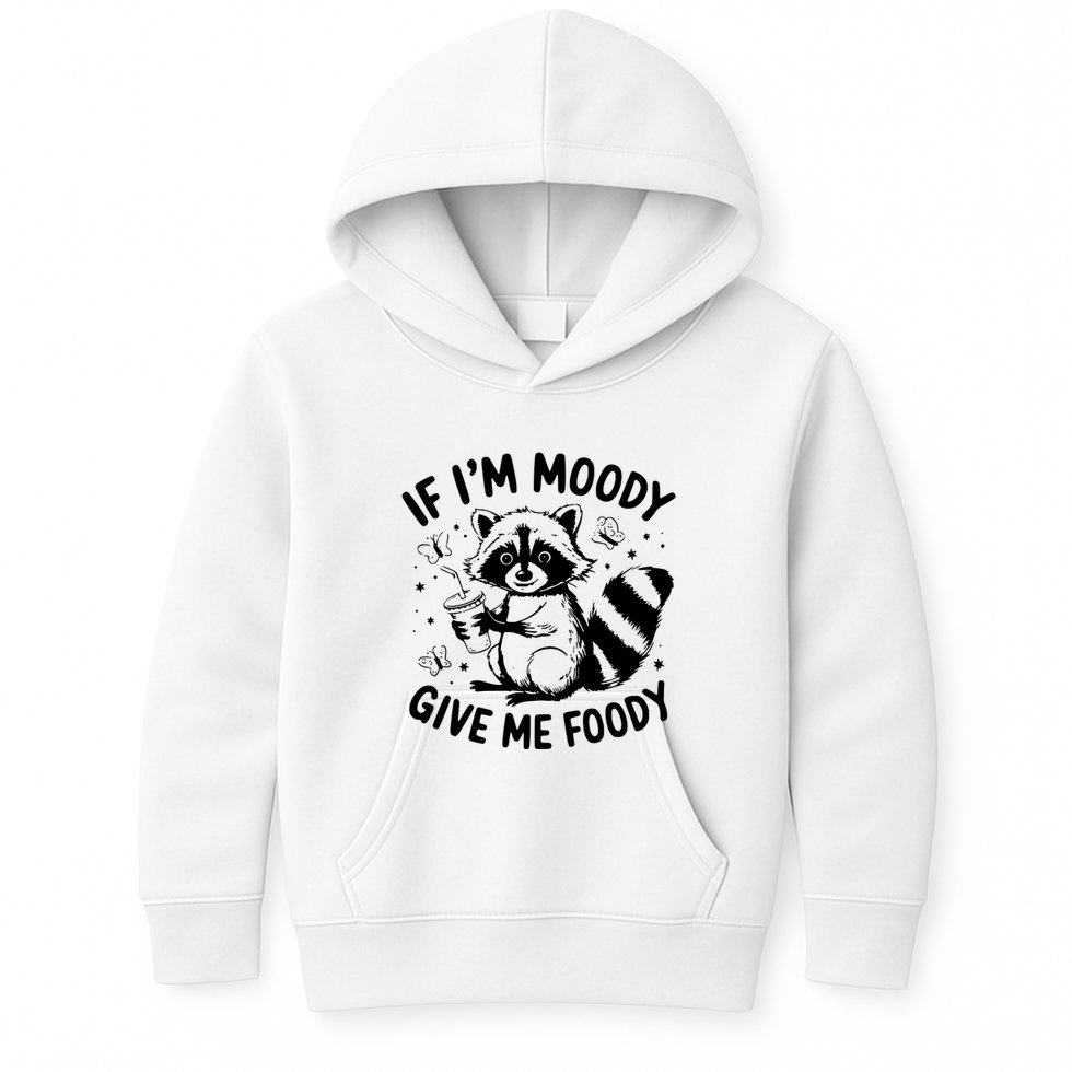 If IM Moody Give Me Foody Funny Raccoon Kids Hoodie
