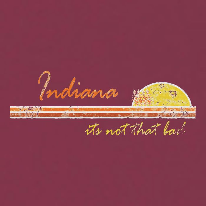 Indiana Its Not That Bad Awesome Retro State 16oz Travel Tumbler