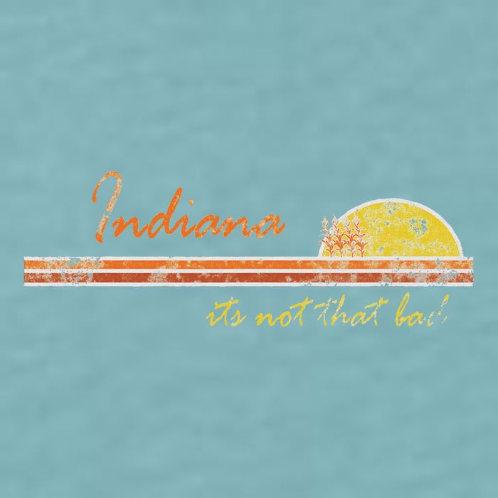 Indiana Its Not That Bad Awesome Retro State Sueded Cloud Jersey T-Shirt