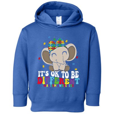 It Is Ok To Be Different Elephant Autism Awareness Acceptance Great Gift Toddler Hoodie