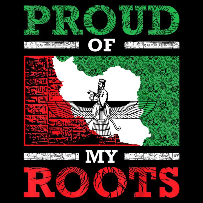Iran Iranian Persian Irani Flag Iran Roots Farsi Irani Iran City Backpack