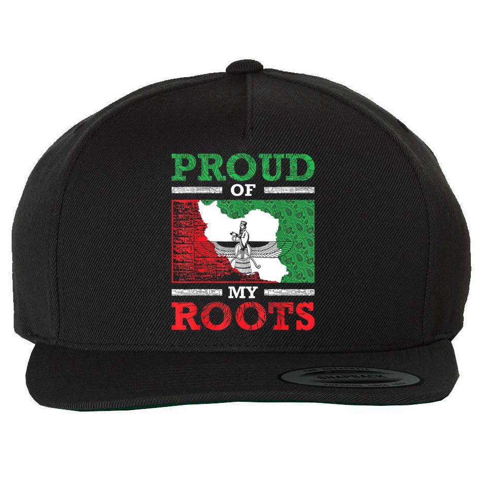 Iran Iranian Persian Irani Flag Iran Roots Farsi Irani Iran Wool Snapback Cap
