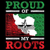 Iran Iranian Persian Irani Flag Iran Roots Farsi Irani Iran Wool Snapback Cap
