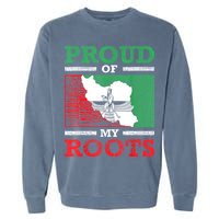 Iran Iranian Persian Irani Flag Iran Roots Farsi Irani Iran Garment-Dyed Sweatshirt