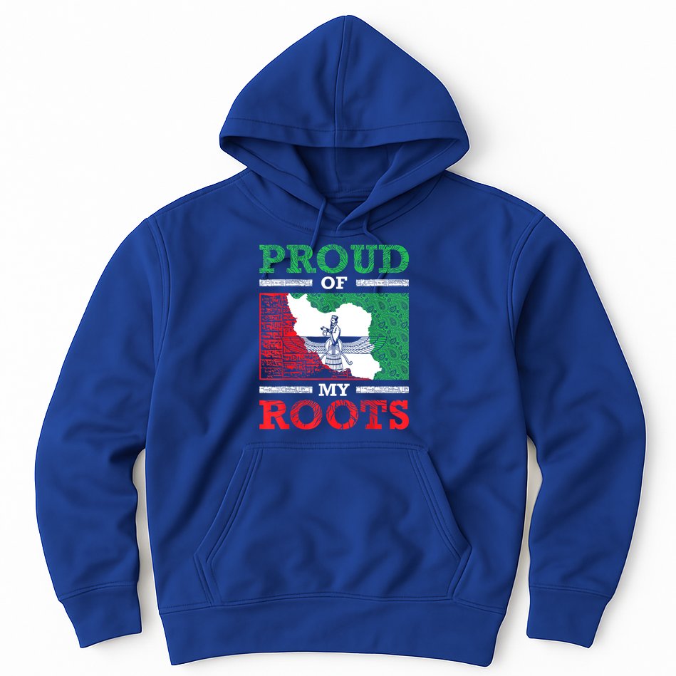 Iran Iranian Persian Irani Flag Iran Roots Farsi Irani Iran Hoodie