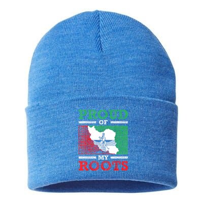 Iran Iranian Persian Irani Flag Iran Roots Farsi Irani Iran Sustainable Knit Beanie