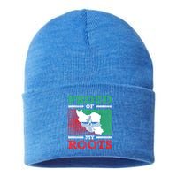 Iran Iranian Persian Irani Flag Iran Roots Farsi Irani Iran Sustainable Knit Beanie