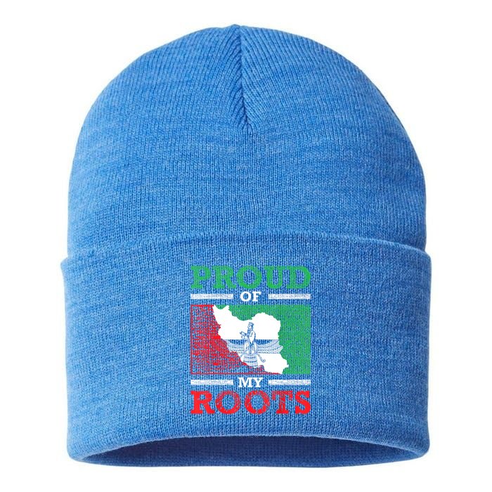 Iran Iranian Persian Irani Flag Iran Roots Farsi Irani Iran Sustainable Knit Beanie
