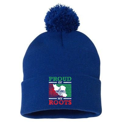 Iran Iranian Persian Irani Flag Iran Roots Farsi Irani Iran Pom Pom 12in Knit Beanie