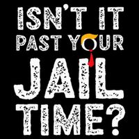 IsnT It Past Your Jail Time Funny Trump Sustainable Knit Beanie