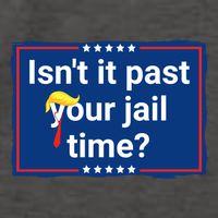 Isnt It Past Your Jail Time Vector Backpack